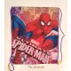 Spiderman tornazsák